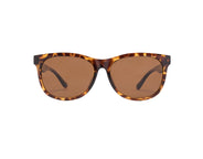 Momentum Series–Built for High Intensity