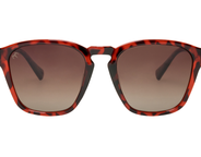 Havana x Umber
