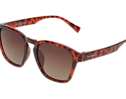 Havana x Umber