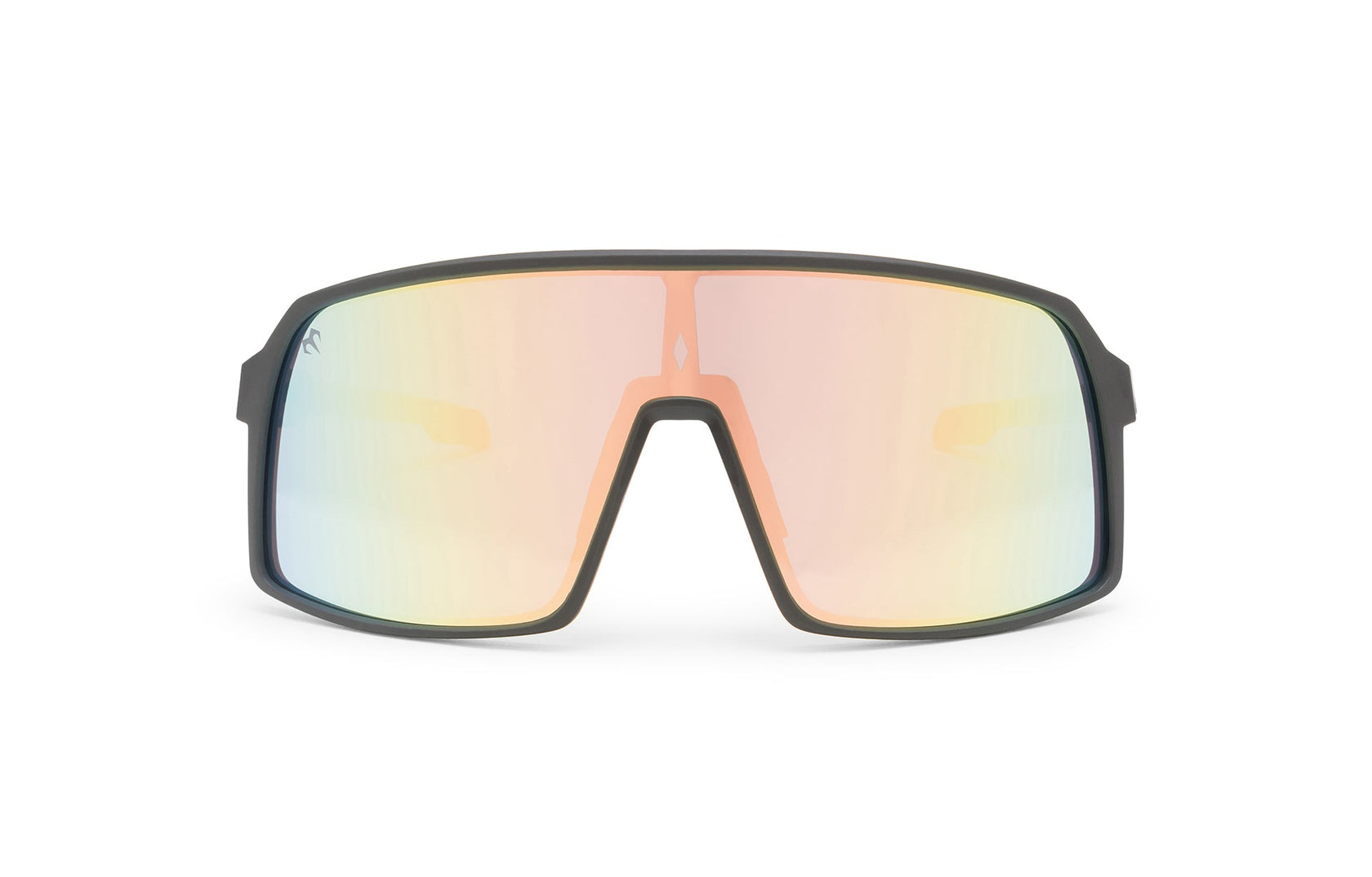 Model S–Sleek, Strong, Sport-Ready